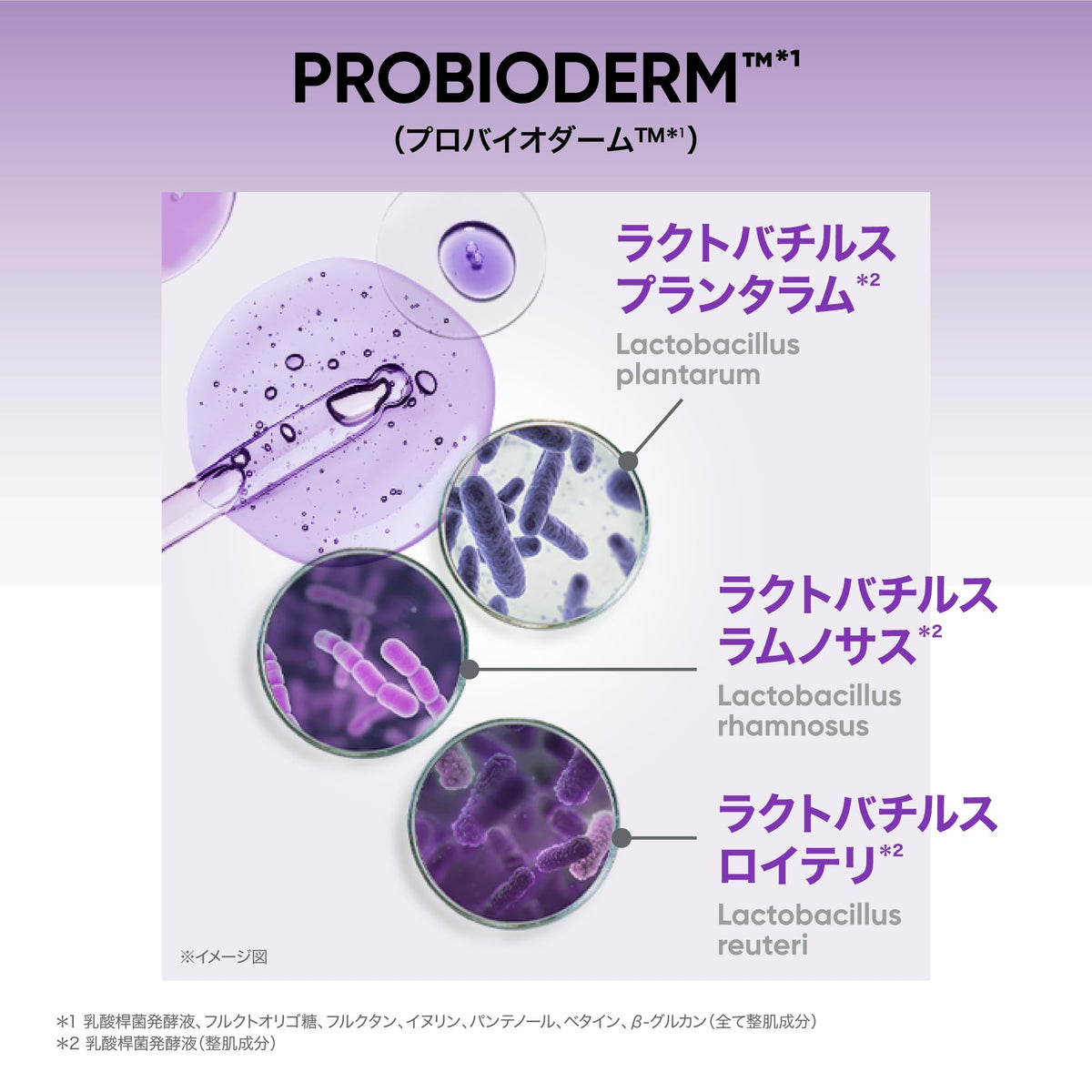 BIOHEAL BOH Probiotic Derm Collagen Remodeling Gel Mask 1 Sheet