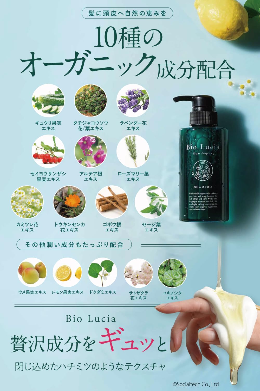 Bio Lucia Scalp Shampoo Organic Amino Acid 300mL