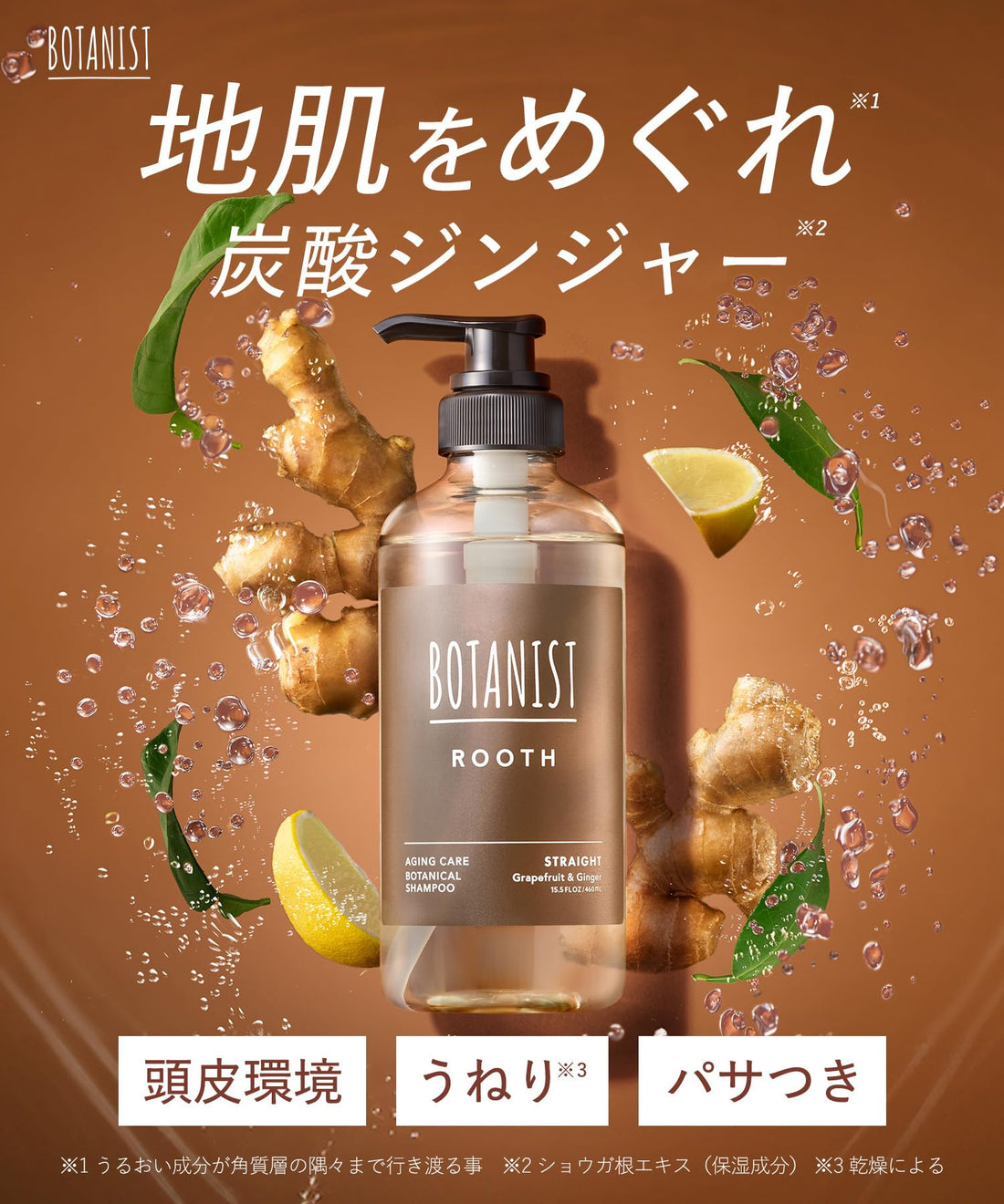 BOTANIST ROOTH Aging Care Shampoo and Treatment Set, Straight, 460mL + 460g