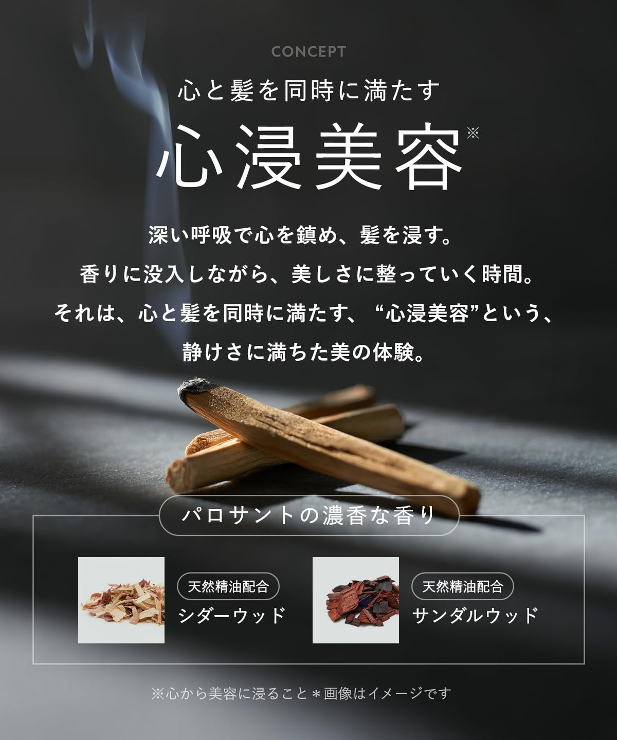 BOTANIST SANTAL Repair Oil-In Shampoo and Treatment Set for Japanese Hair Care
