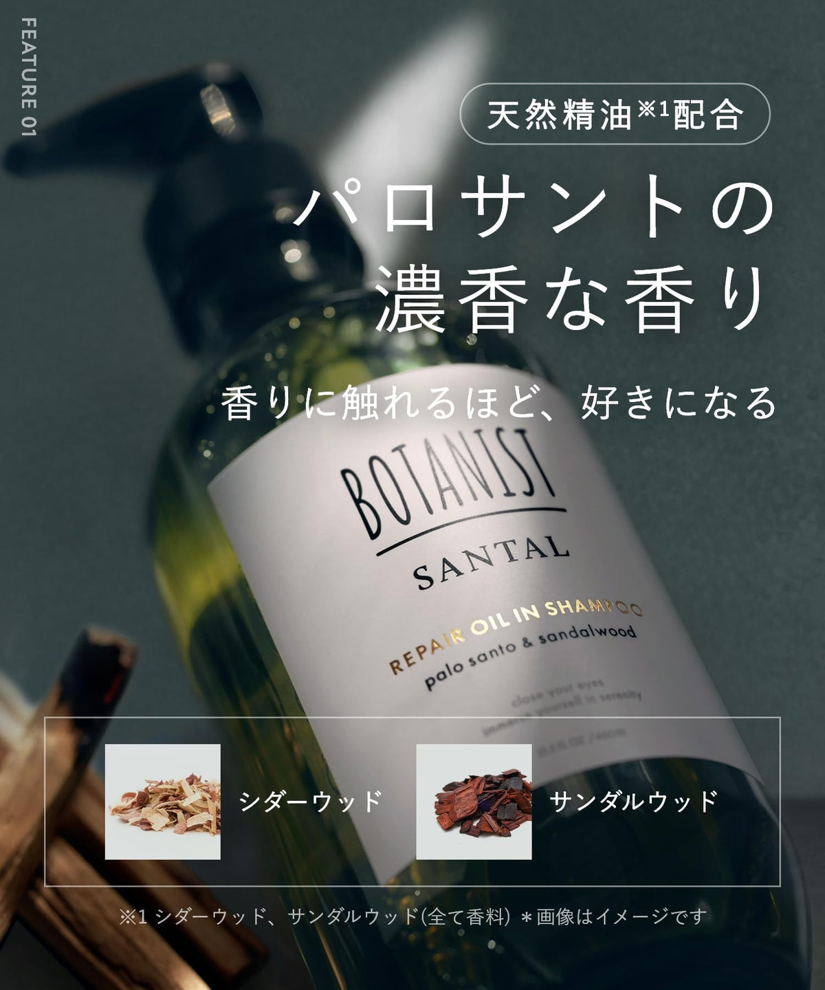 BOTANIST SANTAL Repair Oil-In Shampoo and Treatment Set for Japanese Hair Care