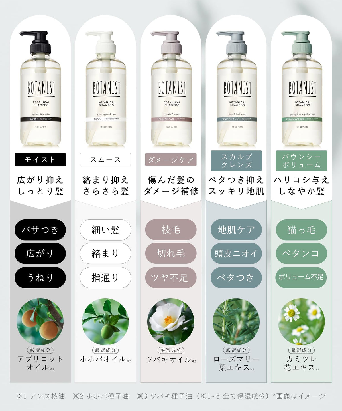 BOTANIST Smooth Moist Shampoo and Treatment Set 3 Pieces