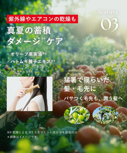 BOTANIST Hair Mask Daily Damage Repair 200g with Fruit Tomato and Rosemary