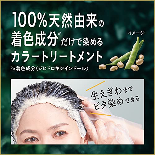 Blaune Hair Color Refill Natural Black 190g for Gray Hair