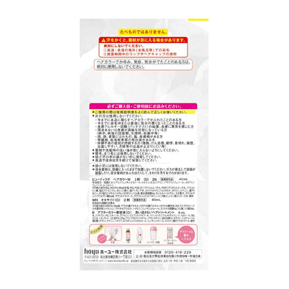 Beautylabo Whipped Hair Color Classic Ash 40ml + 80ml