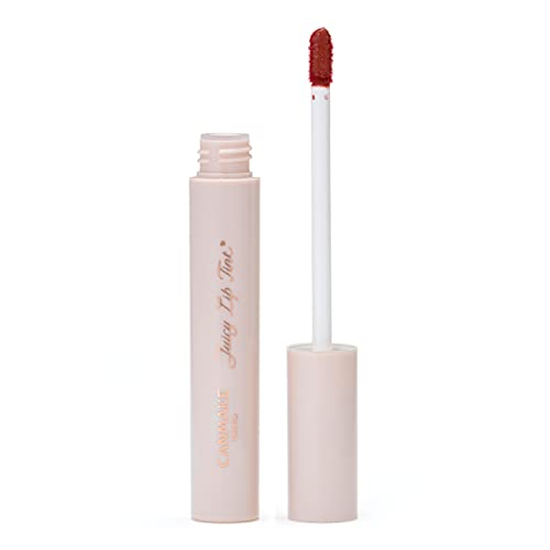 CANMAKE Juicy Lip Tint 02 Cinnamon Apple 1 piece (x 1)