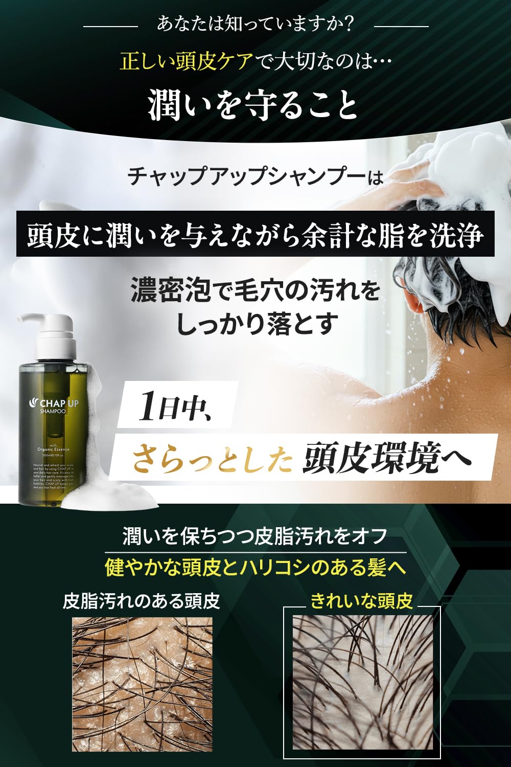 CHAPUP Rich Foam Rinse-in Scalp Shampoo 300mL Duo