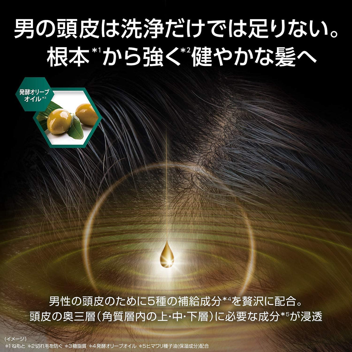 CLEAR All-in-One Shampoo Refill 280g for Japanese Hair Care