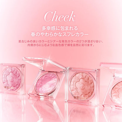 DAISY DOLL Powder Blush Bloom in Mischievous Berry 7g