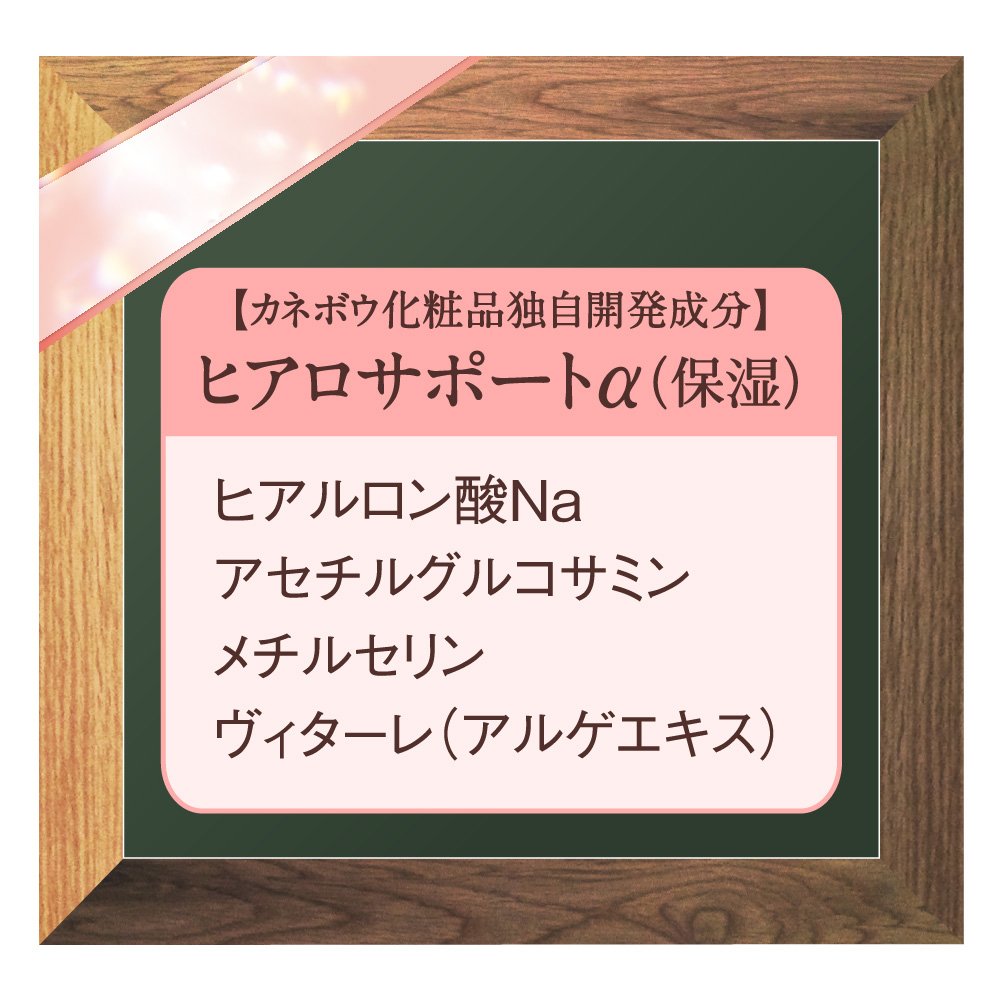 DEW Emulsion Rich Moisture Refill 100ml for Japanese Skincare