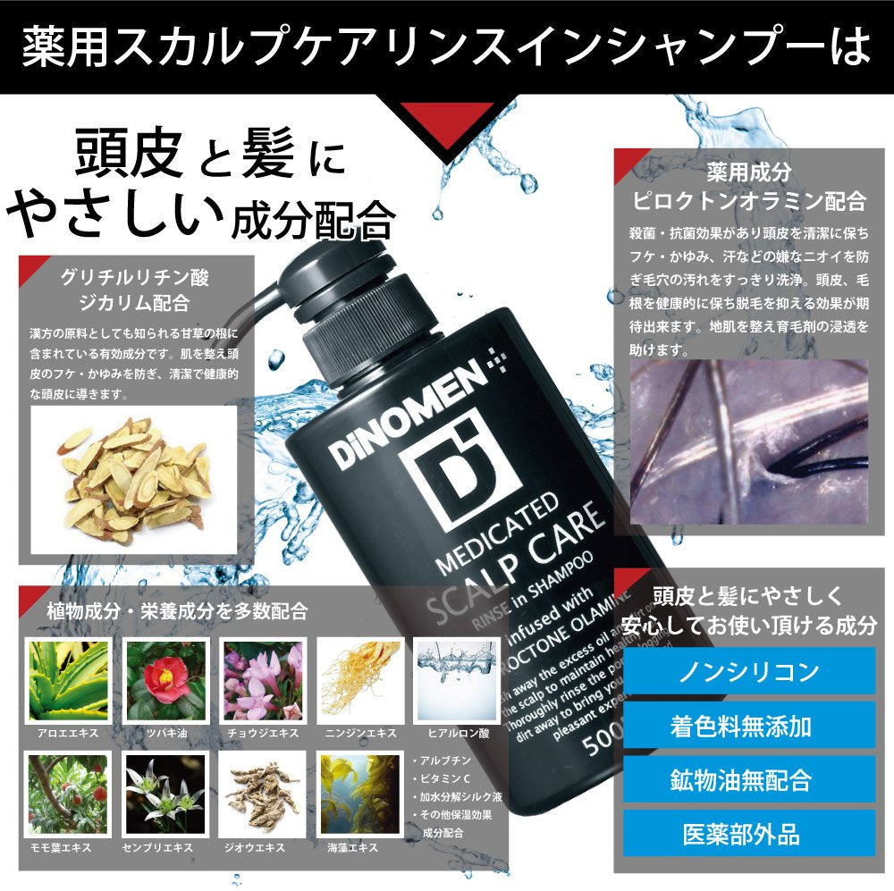 DiNOMEN Scalp Care Rinse-in Shampoo 500ml for Japanese Hair Care