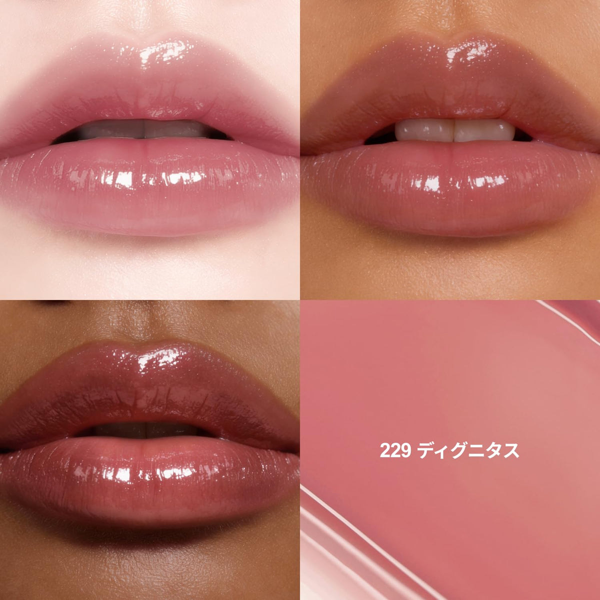Dinto Blarglow Lip Tint 229 Dignitas Korean Cosmetic