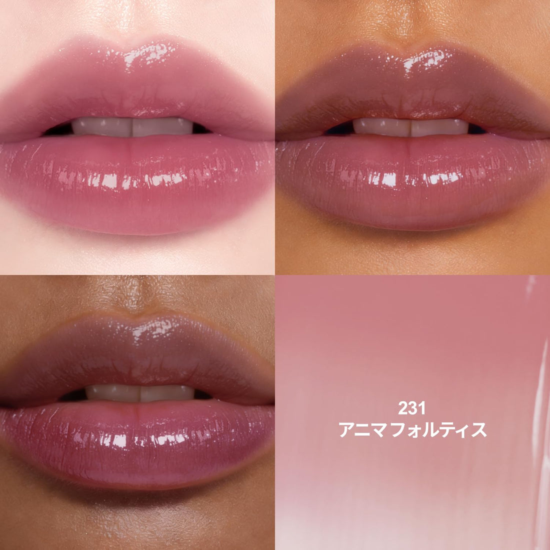 Dinto Blurring Glow Lip Tint Anima Fortis for Radiant Lips