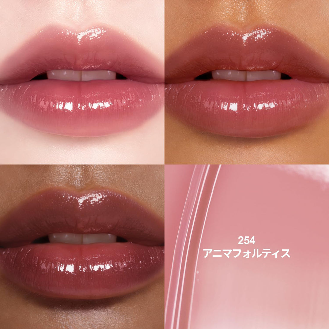 Dinto Mini Lip Tint 254 Anima Fortis for a Flawless Finish