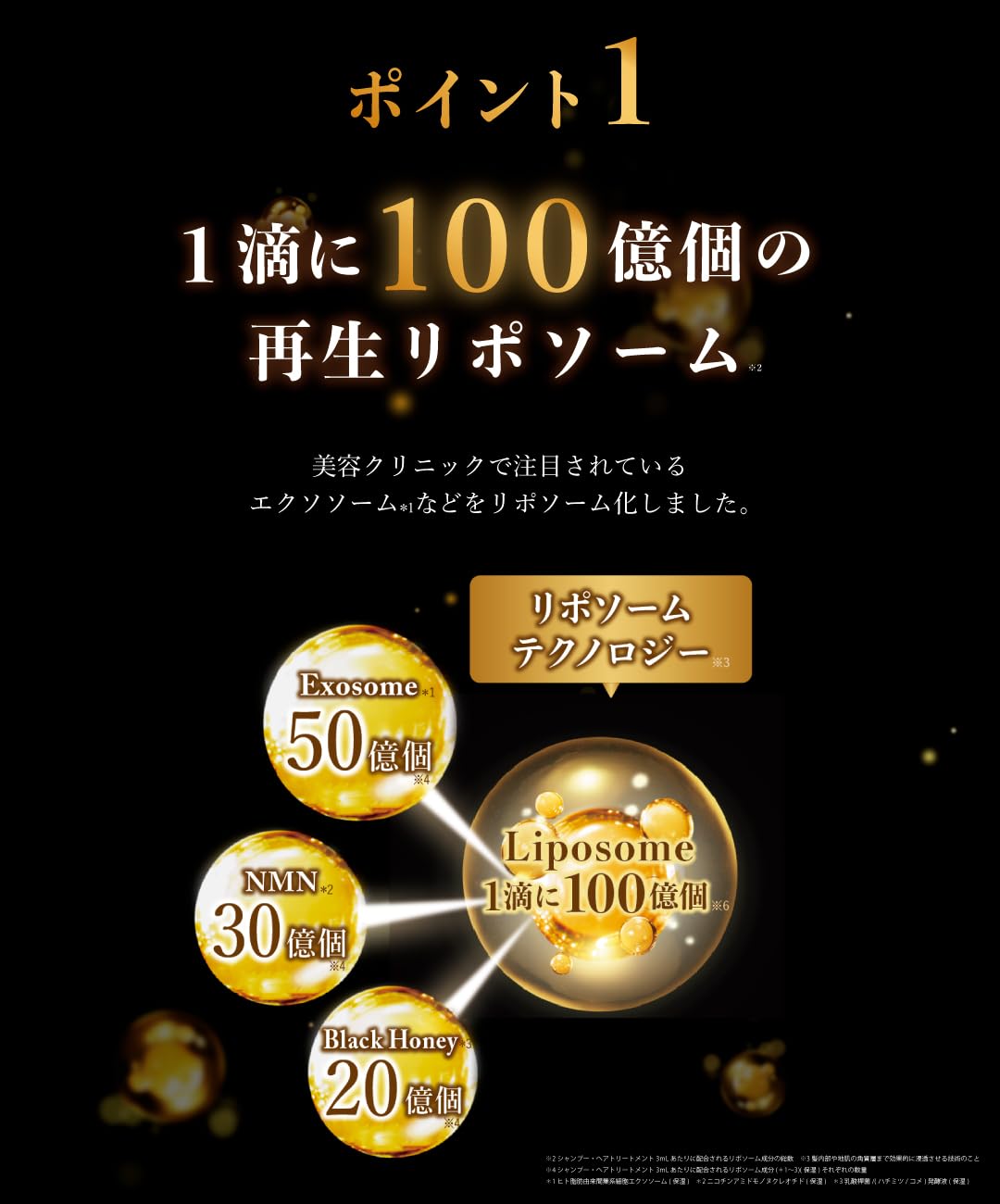 DR.HONEY Black Bee Shampoo and Treatment Set 340mL Blossom Tea