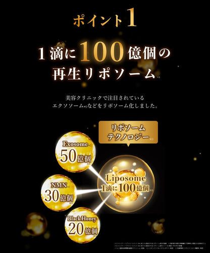 DR.HONEY Black Bee Shampoo and Treatment Set 340mL Blossom Tea