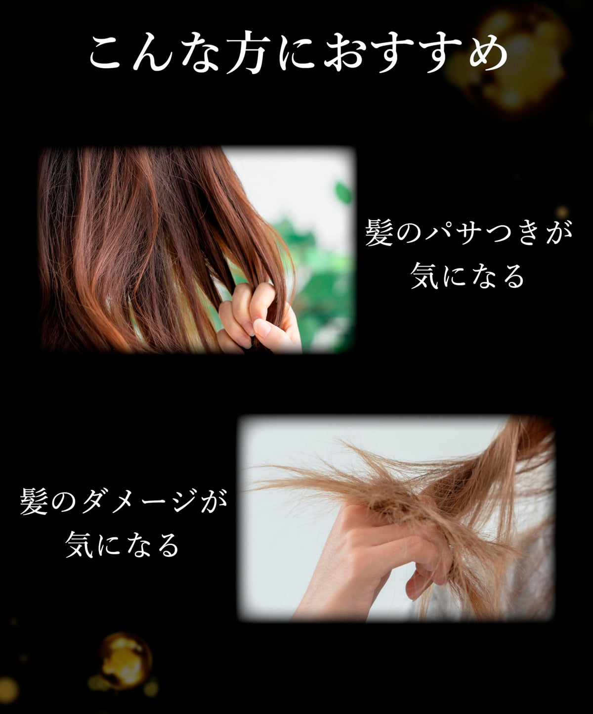 DR.HONEY Black Bee Shampoo and Treatment Set 340mL Blossom Tea