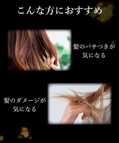 DR.HONEY Black Bee Shampoo and Treatment Set 340mL Blossom Tea