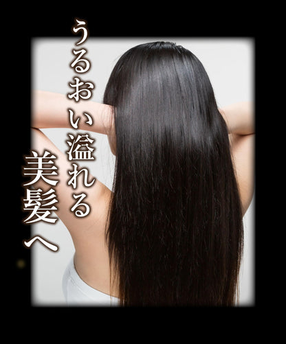 DR.HONEY Black Bee Shampoo and Treatment Set 340mL Blossom Tea