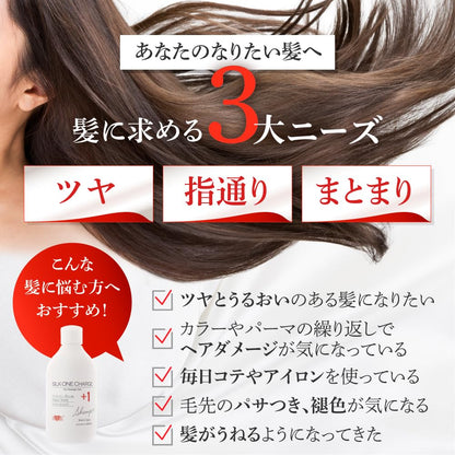 EARTHEART Silk One Charge Shampoo 300ml for Japanese Hair Care