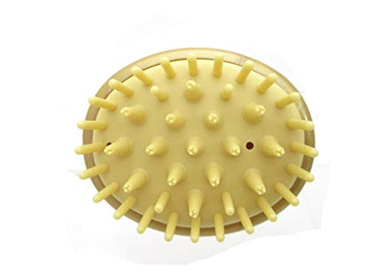 Eihoudou Brosse à Cheveux avec Huile de Camélia