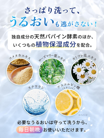 ESS Basic Wash Powder 60g for Refreshing Cleansing
