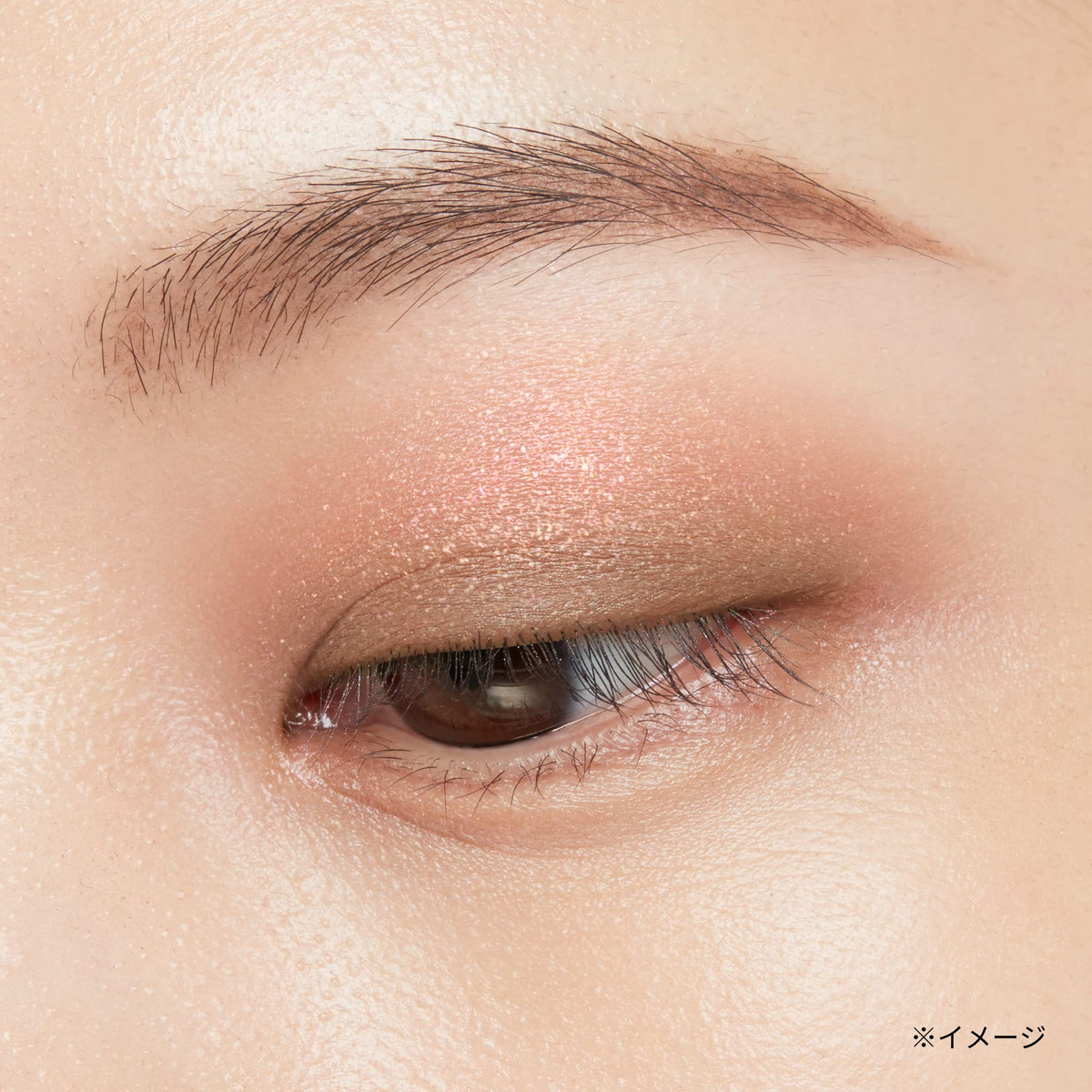 ettusais Color Palette 11 Rosewood Eyeshadow 3.8g