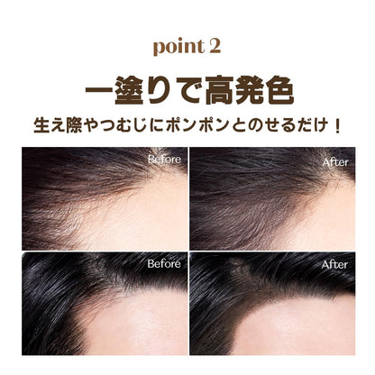 ETUDE Hair Shadow Dark Brown Mini Stick Waterproof for Hairline