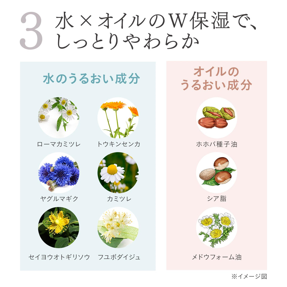 ETVOS Ultimo Moist Serum 50ml Fragrance-Free Japanese Skincare