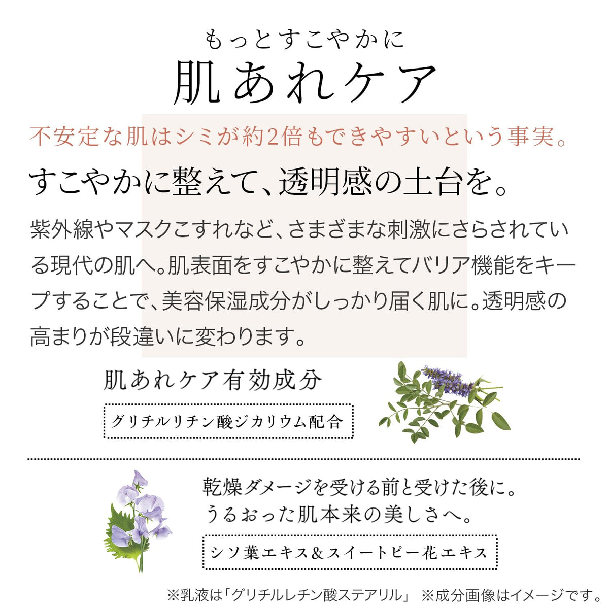 FANCL Brightening Lotion I Refreshing 30mL for Japanese Skincare