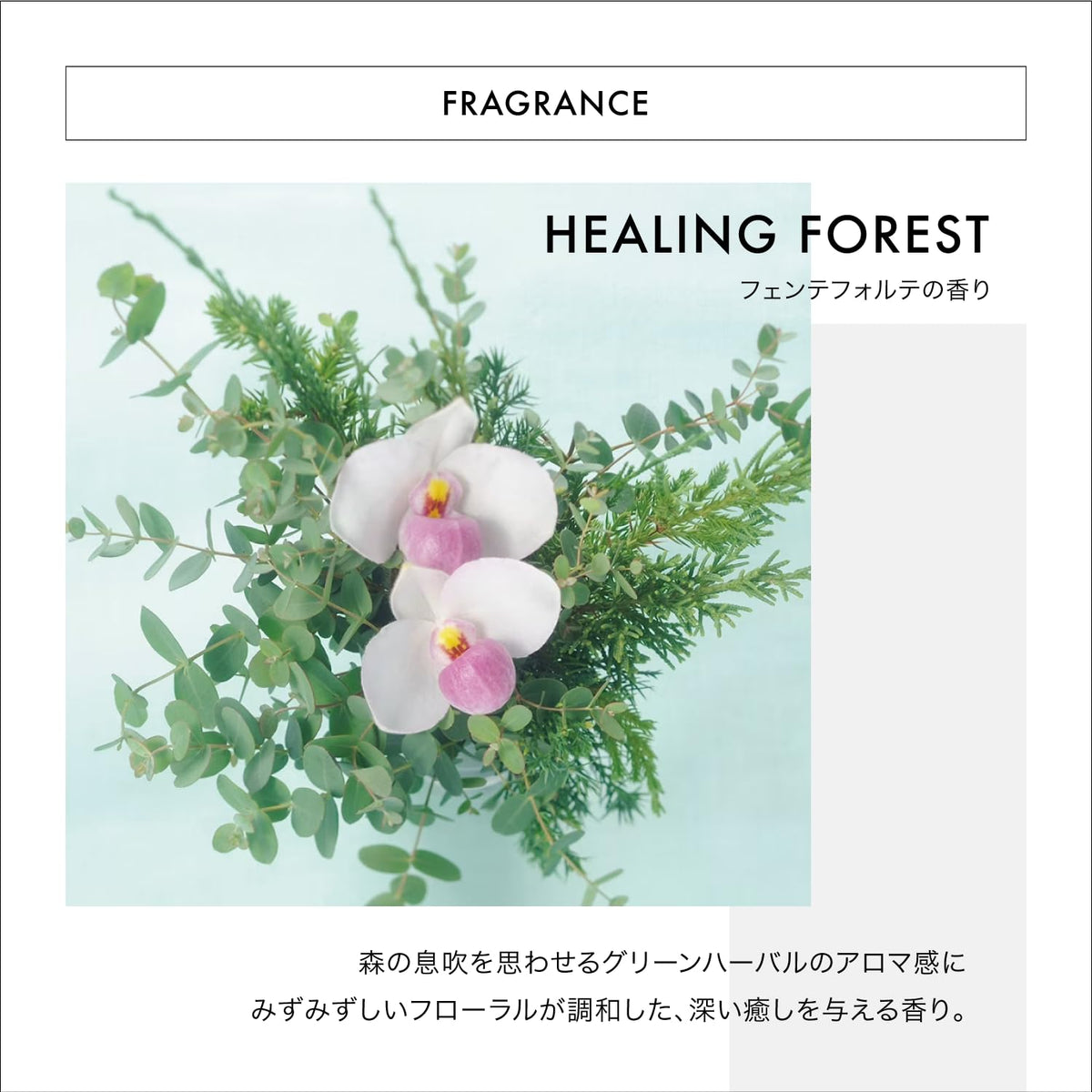 FUENTE FORTE Holistic Care Treatment 250g for Japanese Hair Care