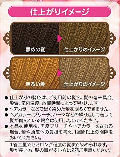 Fresh Light Milky Hair Color Premium Beige 1 Piece