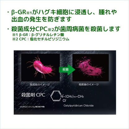 GUM Interdental Gel for Gum Care 13ml - Spicy Double Mint Flavor