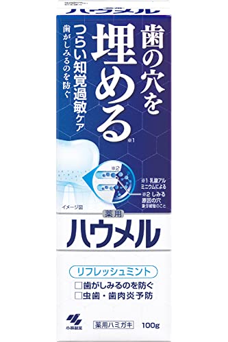 Haumel Pâte de soin pour dents sensibles Dentifrice médicinal 100g Comble les trous des dents Kobayashi Seiyaku 【Produit quasi-médical】 1 pièce