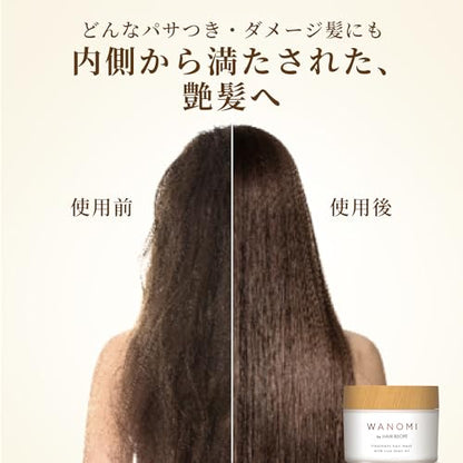 Hair Recipe Wanomi Melty Treatment Hair Mask 170g