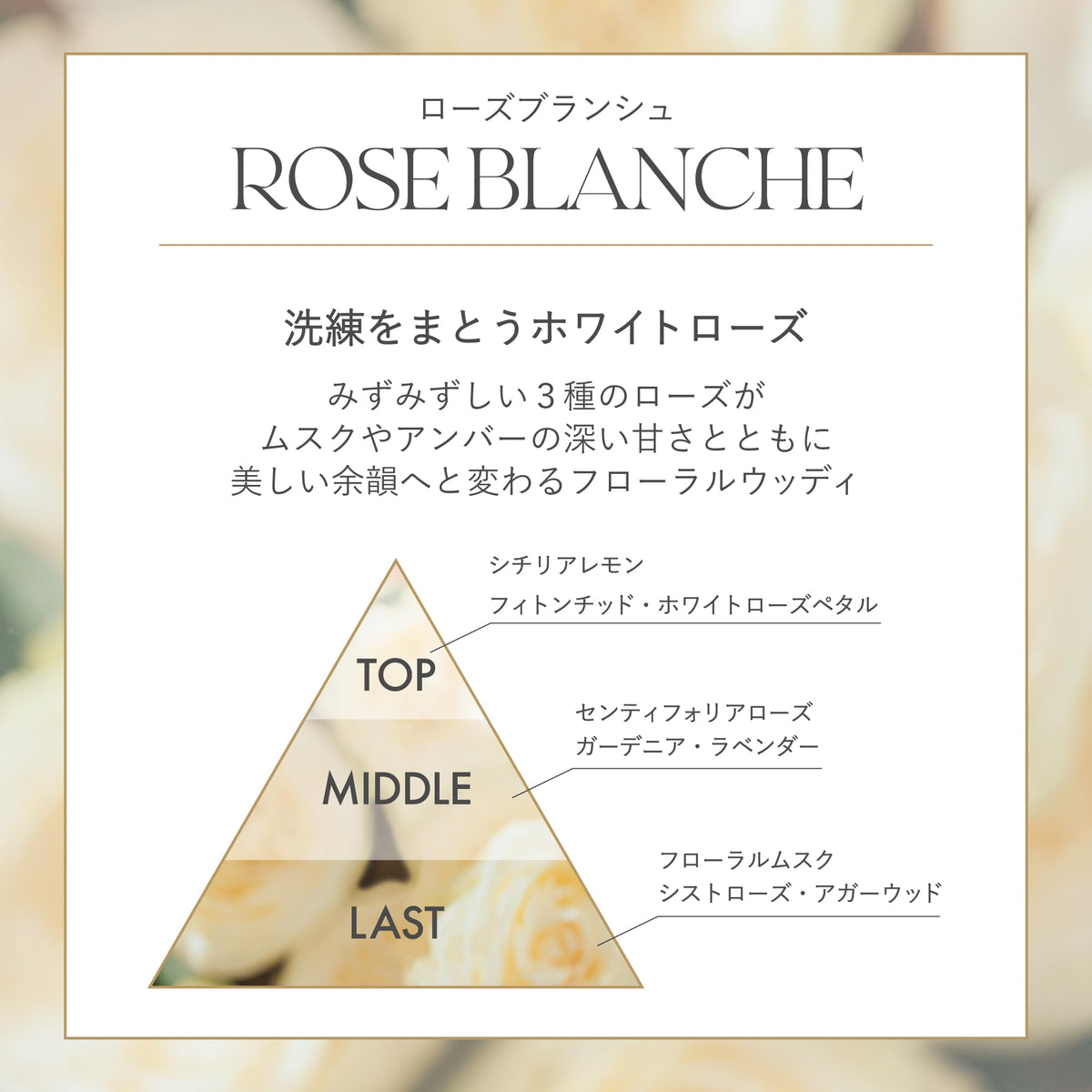 Her lip to Sensual Rich Body Cream 180g with Ceramide for Dry Skin