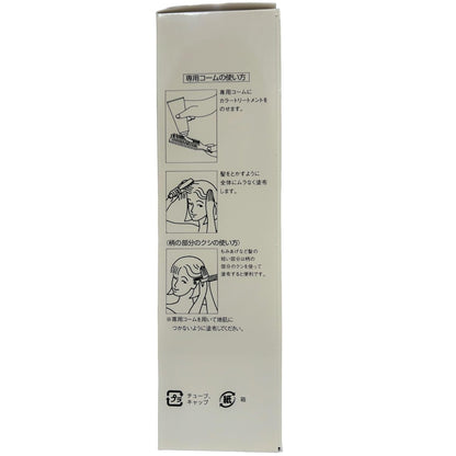 hoyu Ashley Color Treatment 230g Brown for Japanese Hair Care
