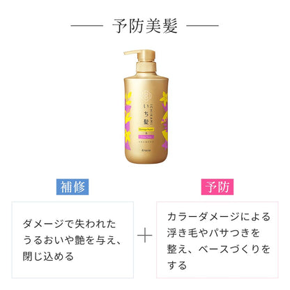 ICHIKAMI Damage Repair and Color Care Conditioner Refill 330g