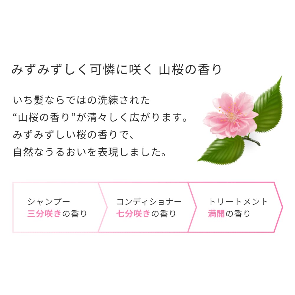 ICHIKAMI Smooth Care Hair Treatment 230g for Japanese Hair Care