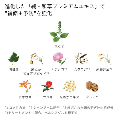ICHIKAMI Damage Repair &amp; Color Care Shampoo Refill 330ml