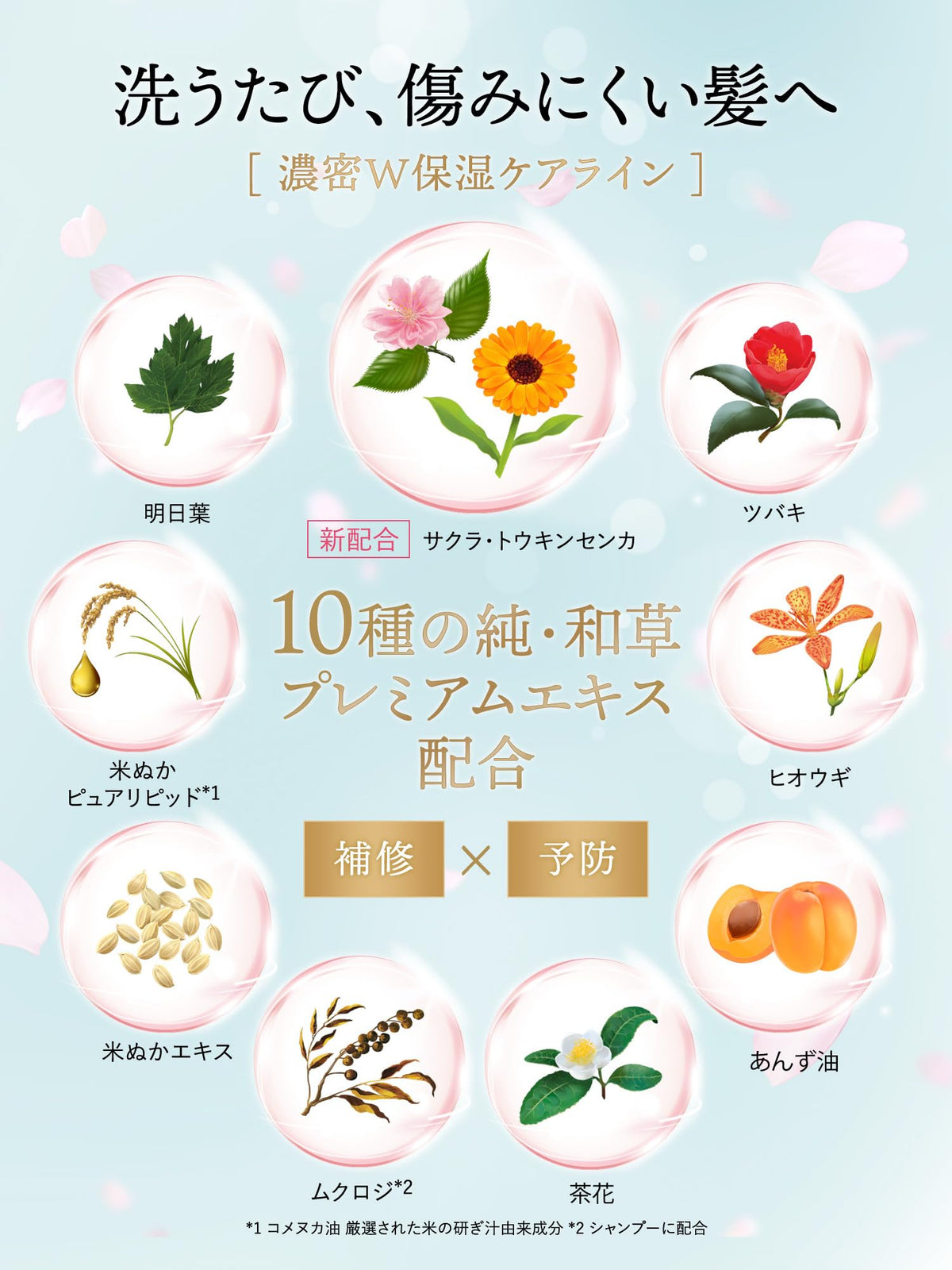 ICHIKAMI Moisture Rich Shampoo Refill Set 640ml