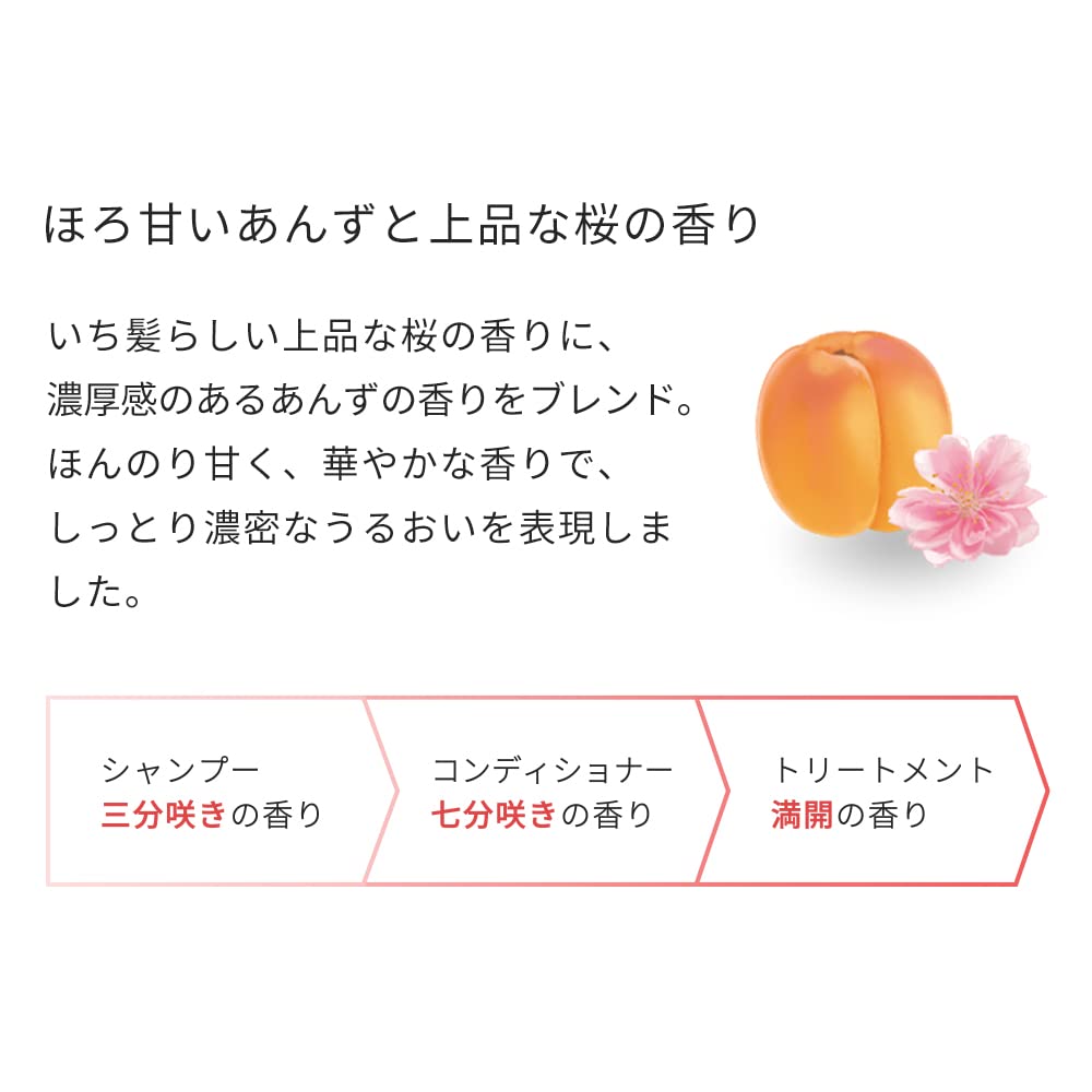 ICHIKAMI Moisture Shampoo 480ml with Natural Ingredients
