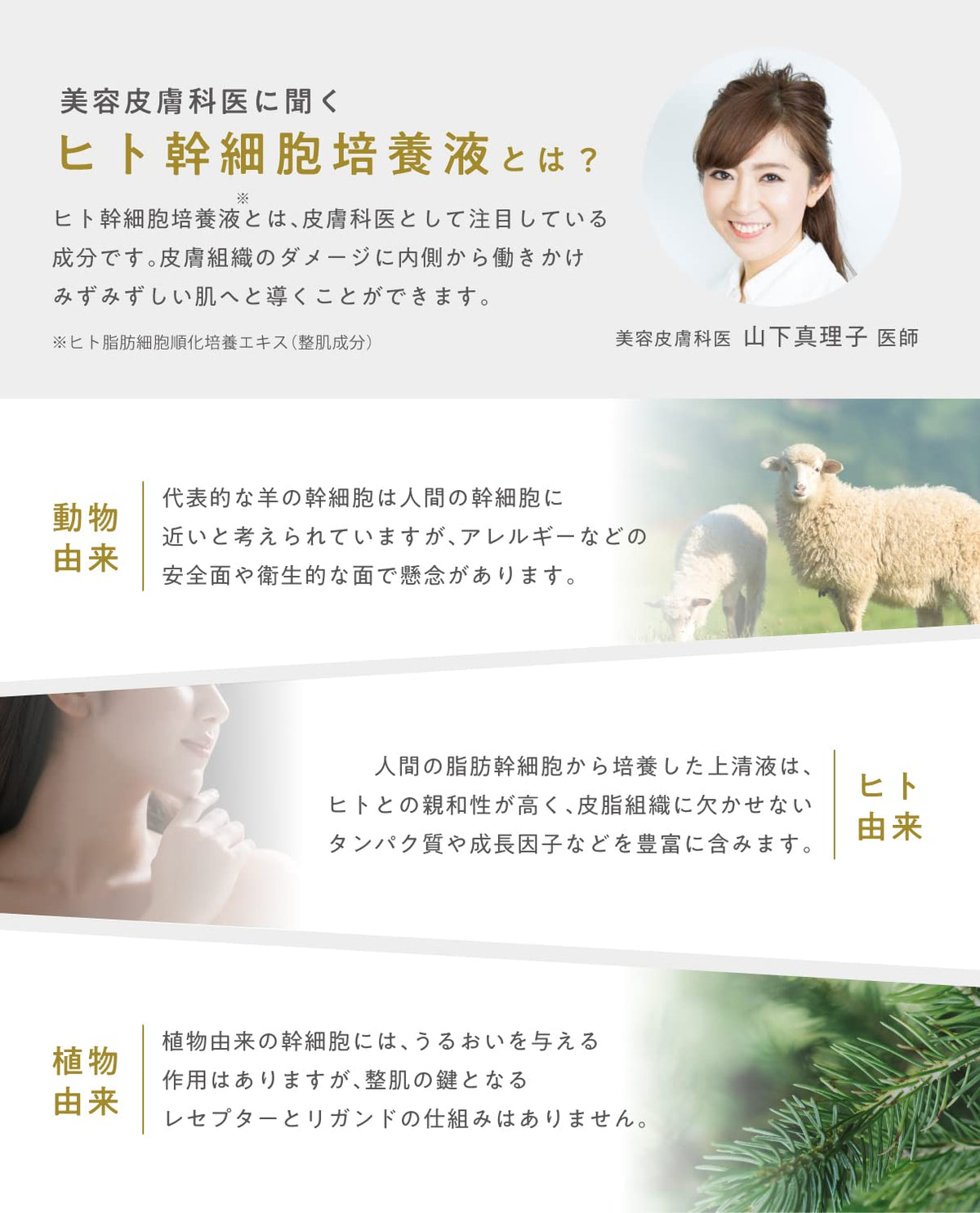 idio CICA Face Cream with Centella Asiatica 55g for Japanese Skincare