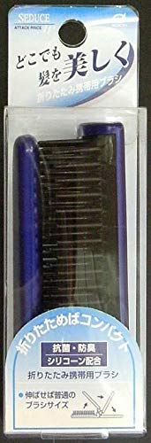 Ikemotoburashikougyou Portable Hair Brush Blue Compact Design