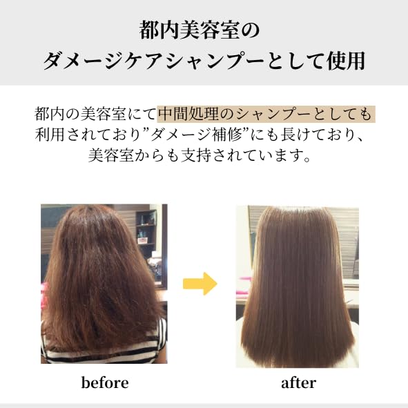 Ikue Premium Shampoo and Conditioner Set 500ml for Japanese Hair Care