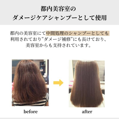 Ikue Premium Shampoo and Conditioner Set 500ml for Japanese Hair Care