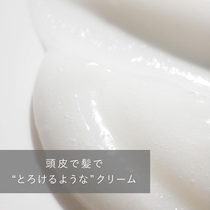 Ines Hair Treatment Cream Refill 380ml for Japanese Hair Care