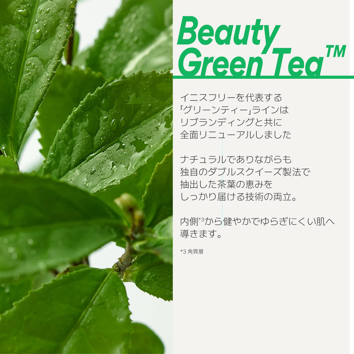 innisfree Green Tea Hyaluronic Eye and Face Ball 10ml Hydrating Serum