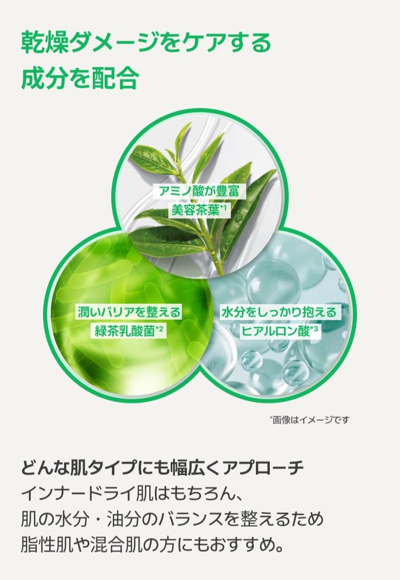 innisfree Green Tea Seed Hyaluronic Daily Mask 10 Sheets