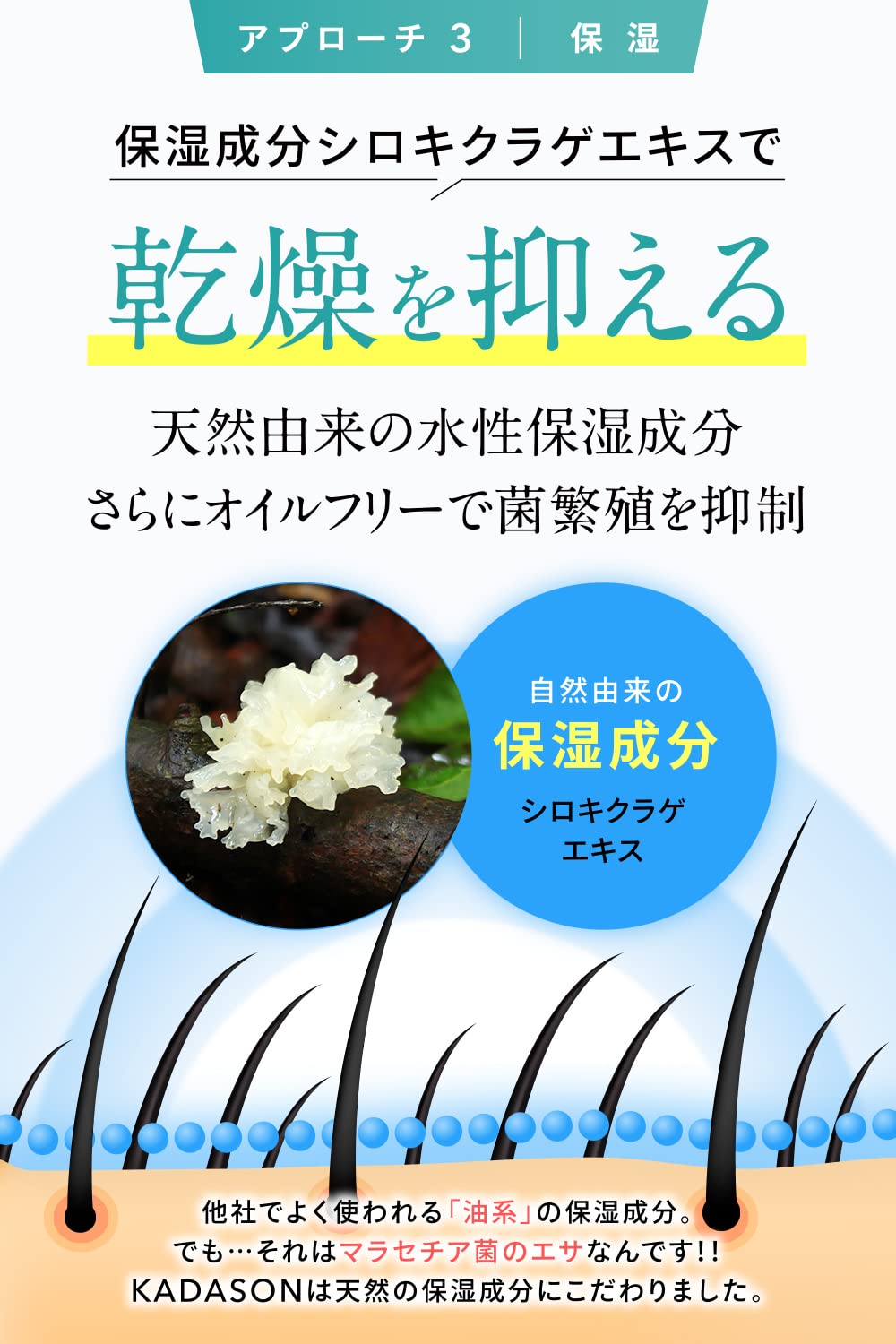 KADASON Scalp Shampoo Refill 950mL for Japanese Hair Care